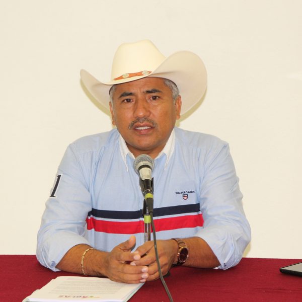 diputado independiente