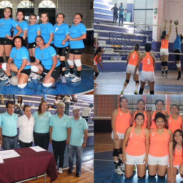 preside Cristina Vázquez Marín