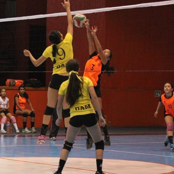 Colonia Ampliación Bugambilias