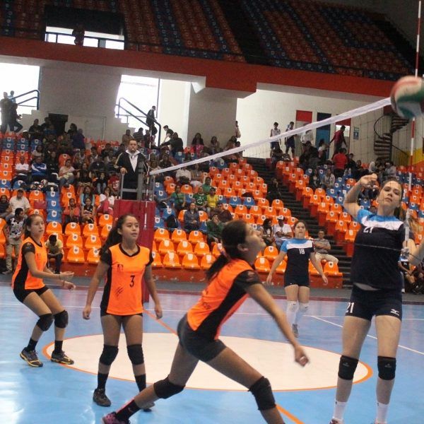 Torneo de voleibol Estudiantil 2016-2017