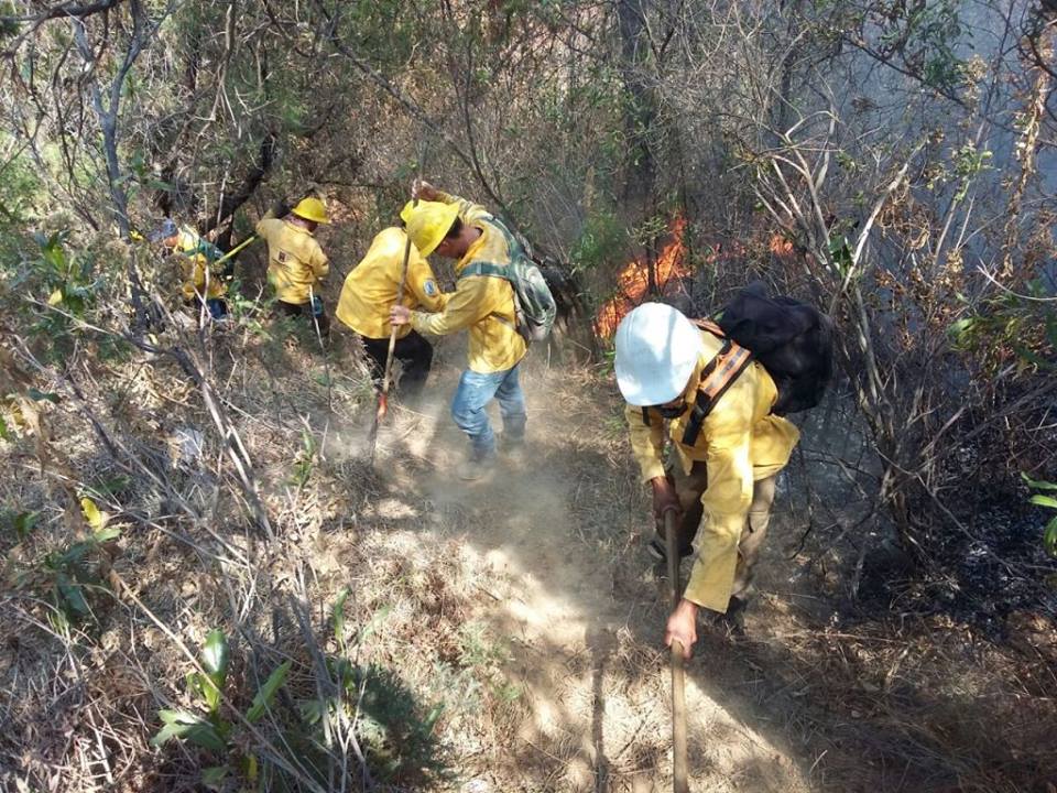 Incendios Forestales