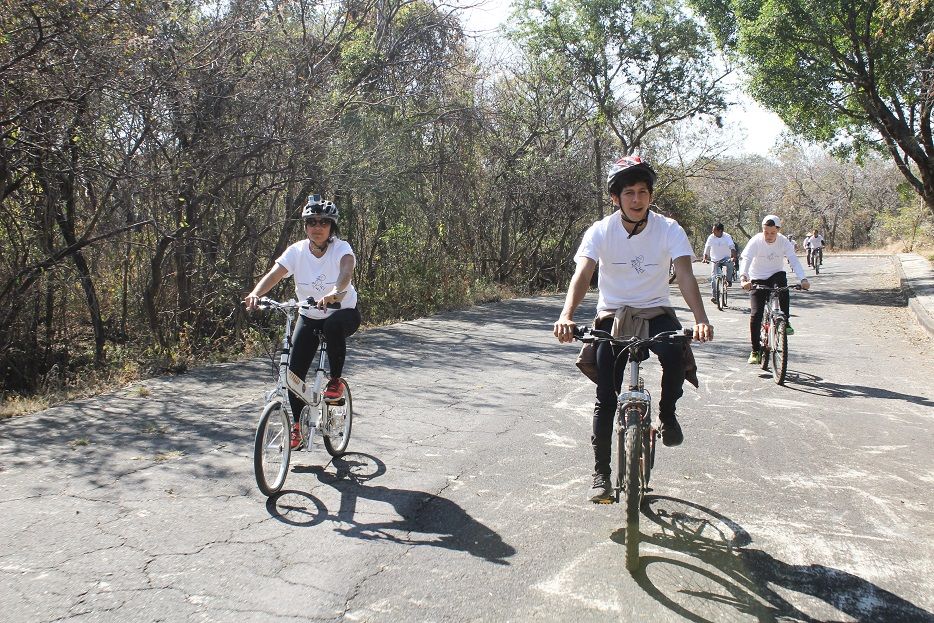 especialistas en diseño e ingeniería