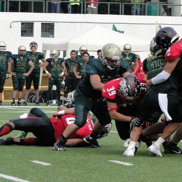 Mientras que Tigres CCH Sur Negro