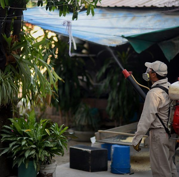 Programa Estatal de Educación