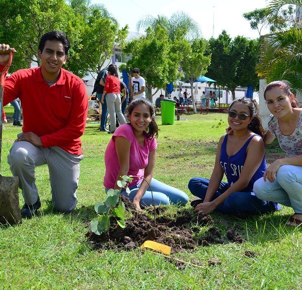 Comisión Nacional Forestal