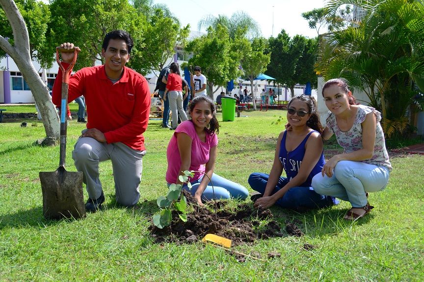 Comisión Nacional Forestal