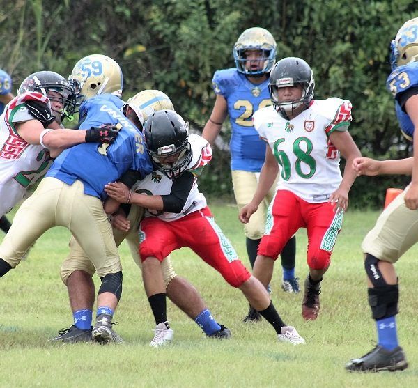 “El Salado” en los Ejidos de Acapantzingo