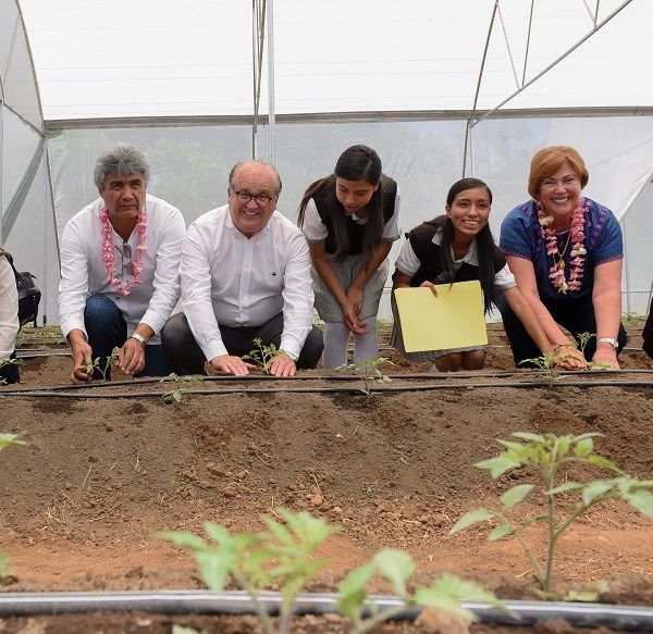 invernaderos para los comedores escolares y comunitarios