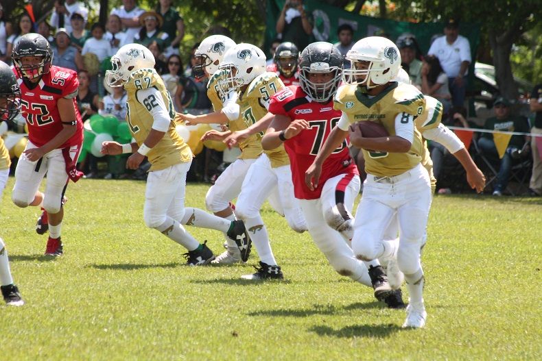 Organización Nacional Estudiantil de Futbol Americano