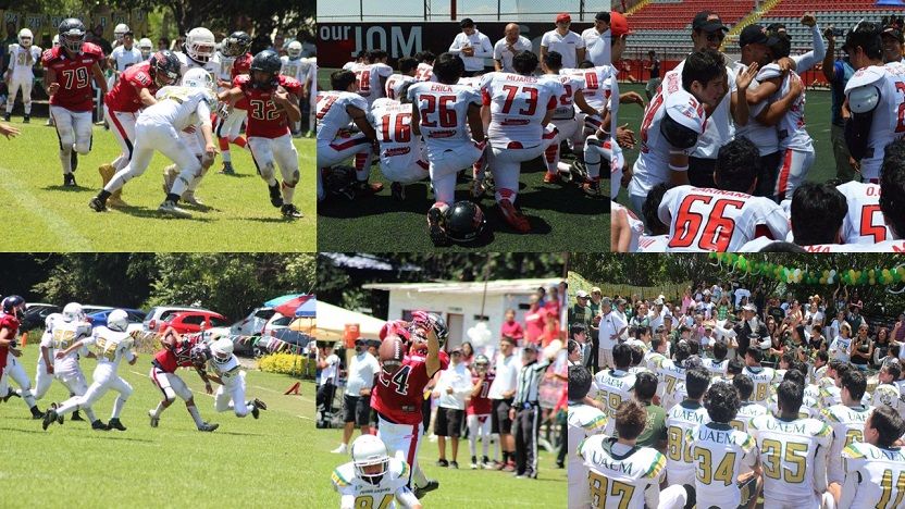 emparrillado sintético del José Ortega Martínez (JOM),