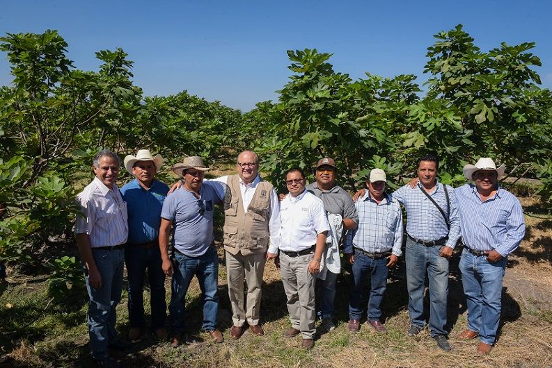 Programa de Certificación de Huertos Frutícolas por cinco millones de pesos