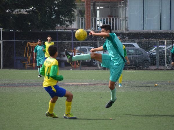 A esta final llegan los dos mejores equipos, que durante la fase regular mostraron las condiciones necesarias para ser campeones, por lo que no hay favorito claro y todo se definirá en el terreno de juego