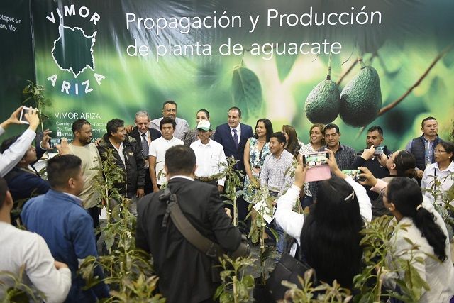 Dicho evento de talla mundial permitirá exhibir productos servicios y generar negocios a través de cuatro áreas de oportunidades, tales como las exposiciones de plantas y flores, diseños florales y floristería, paisajismo y jardinería, e innovación y tecnología