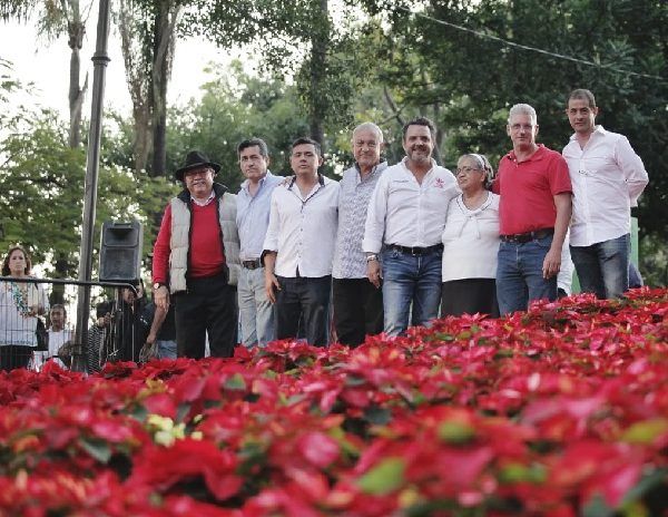 Lo vital es que el turismo local y foráneo adquieran flores de Nochebuena y ésta compra signifique una derrama económica para de la capital de Morelos