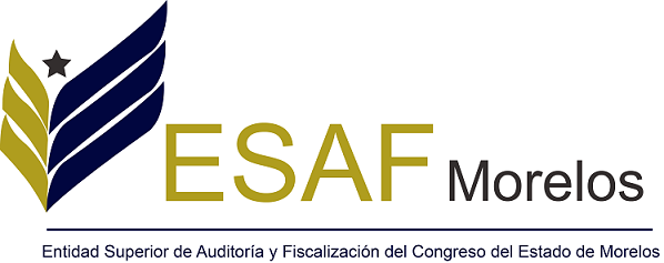 doctora Carlota Olivia de las Casas Vega, analizó la situación de la Entidad Superior de Auditoría y Fiscalización (ESAF), que tanto en su denominación actual, como en las anteriores -de Auditoría Superior de Fiscalización (ASF) y Auditoría Superior Gubernamental (ASG)-, prácticamente ha registrado cero resultados