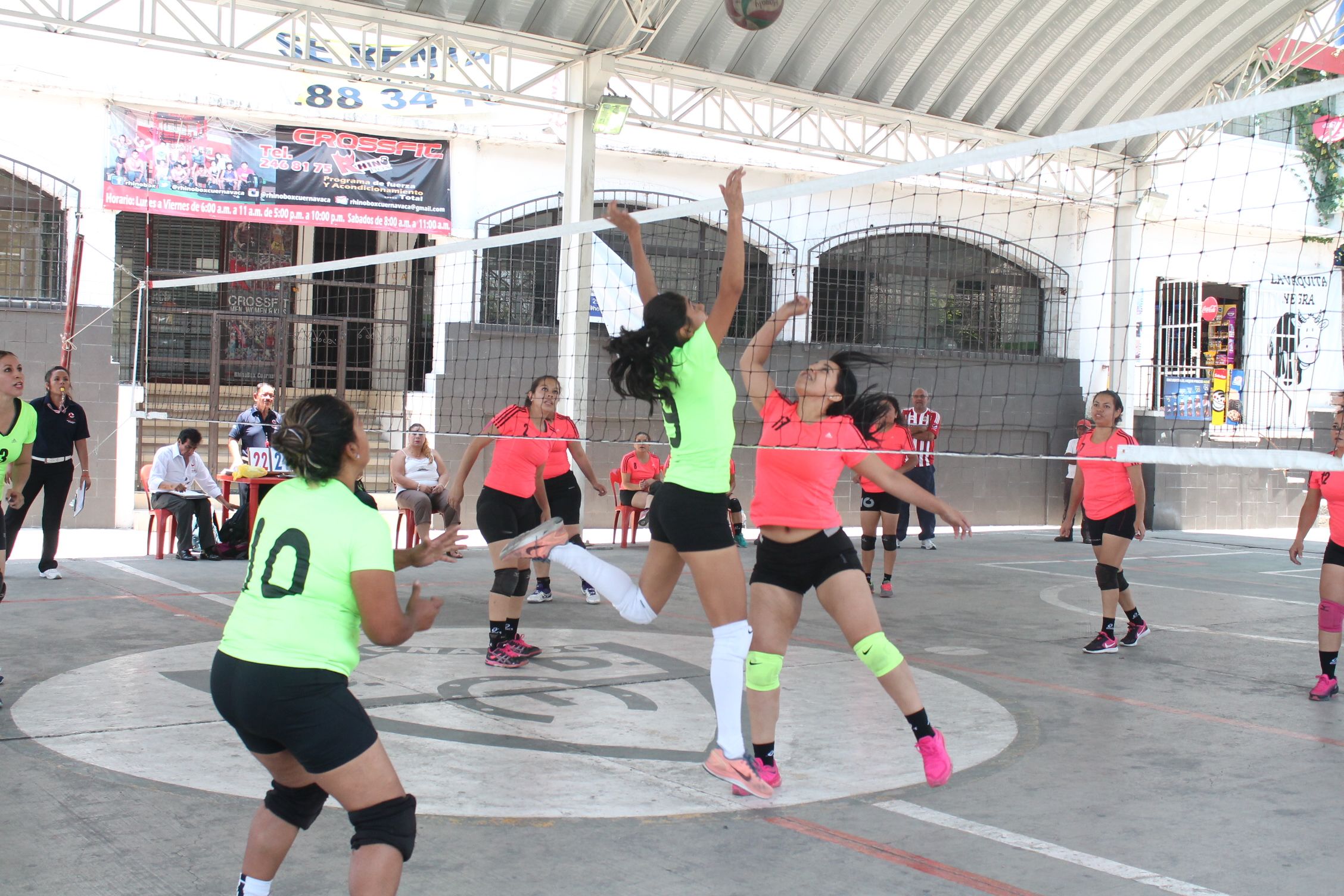 voleibol