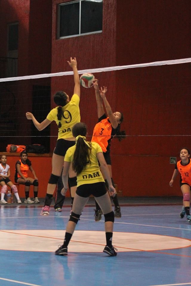 Ampliación Bugambilias