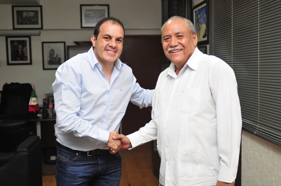 senador de la República