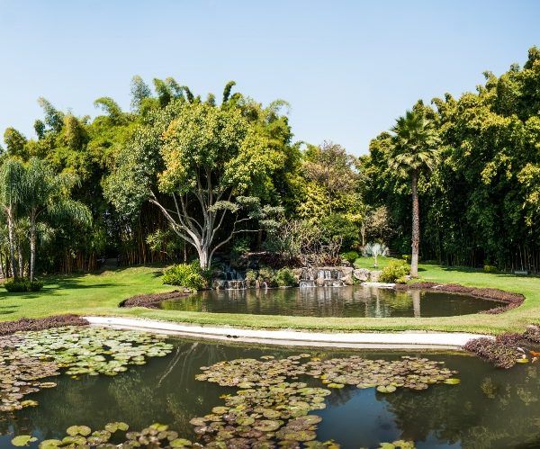 Centro Histórico de Cuernavaca