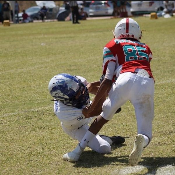 “El Deshuesadero”