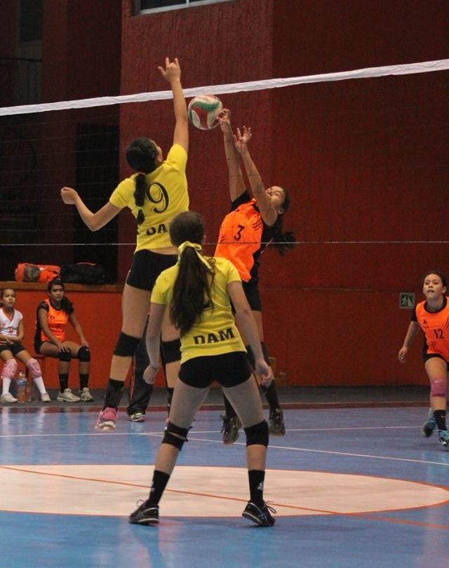 Colonia Ampliación Bugambilias