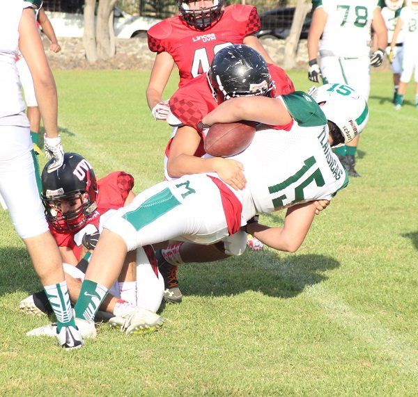 Leones de la Universidad Anáhuac de México
