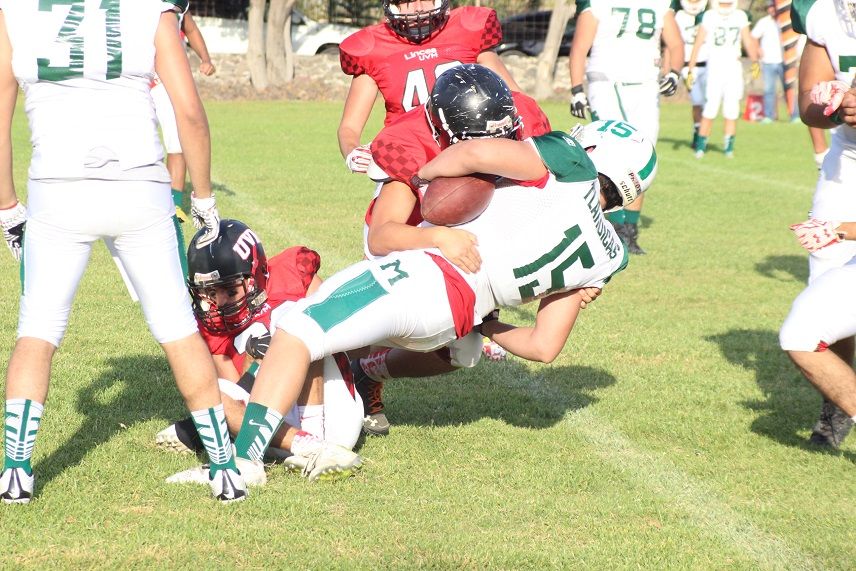 Leones de la Universidad Anáhuac de México