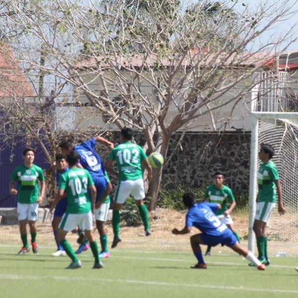 sintético de la Preparatoria Federal Uno
