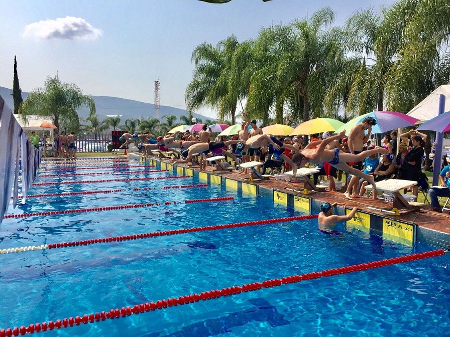 profesor Nelson Vargas