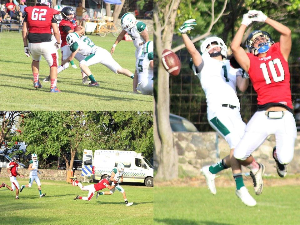 Linces de la Universidad del Valle de México (UVM), Campus Veracruz