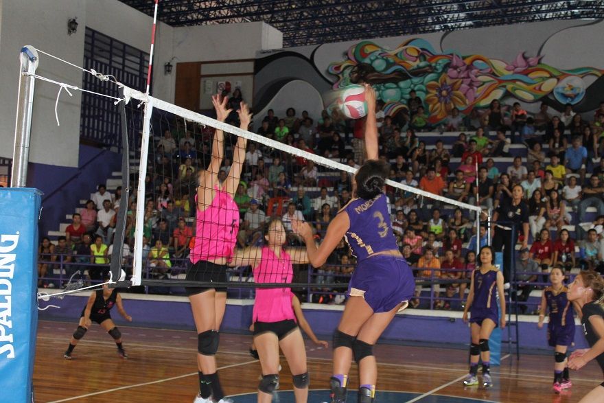 siguen peleando por alcanzar la cima