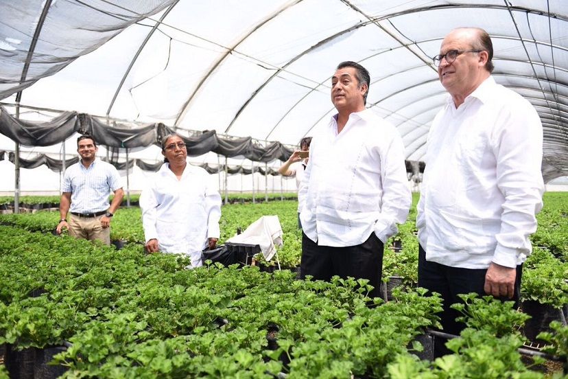 Golfo de México y Océano Pacífico