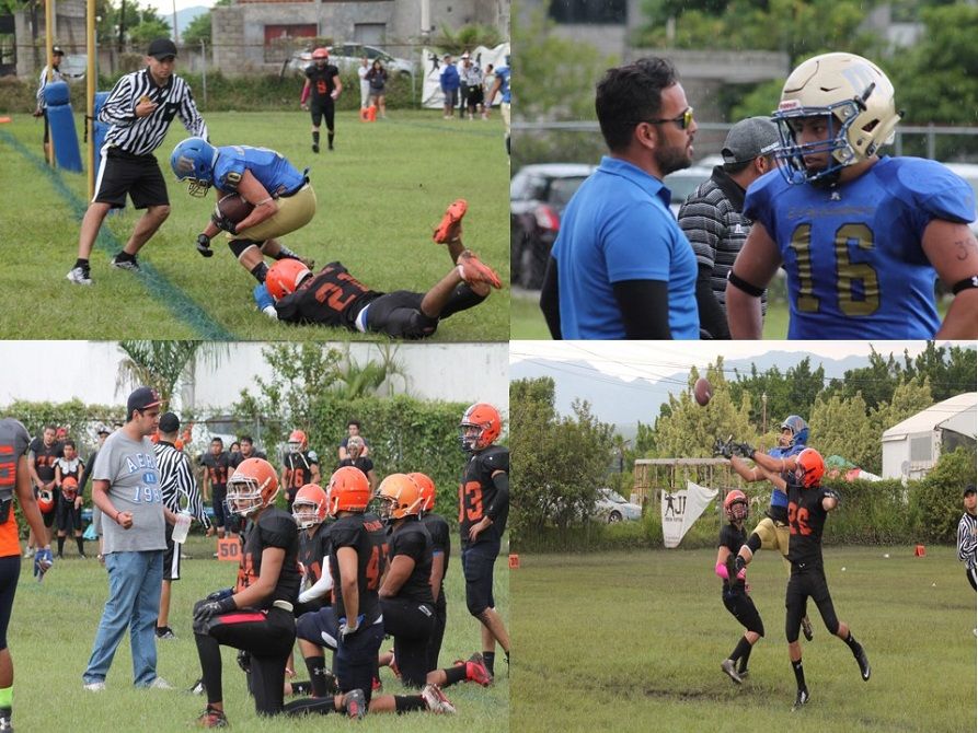 Colegial de la Liga LEXFA