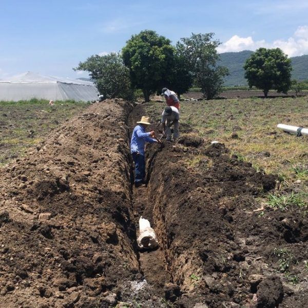Comisión Estatal del Agua (Ceagua) realizará este