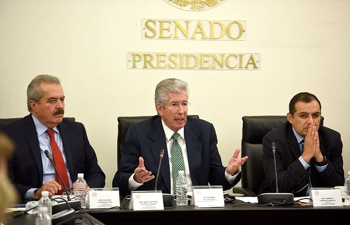 su solidaridad y apoyo incondicional a las familias Mena López y Mena Romero