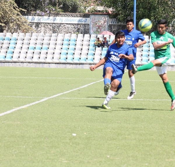 Gerardo Martínez, visor general