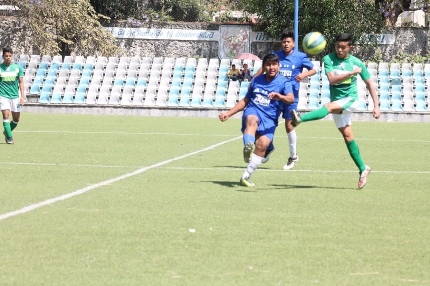 Gerardo Martínez, visor general