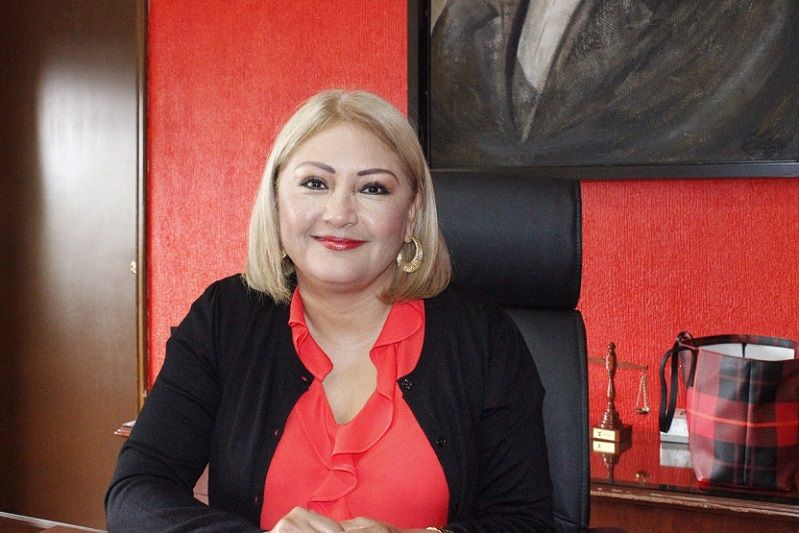 se realizó la denuncia correspondiente ante la Fiscalía estatal