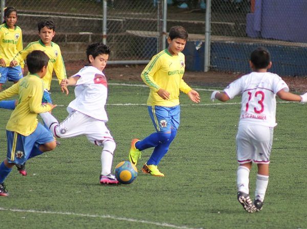 Octavio Jiménez presidente de este sector deportivo