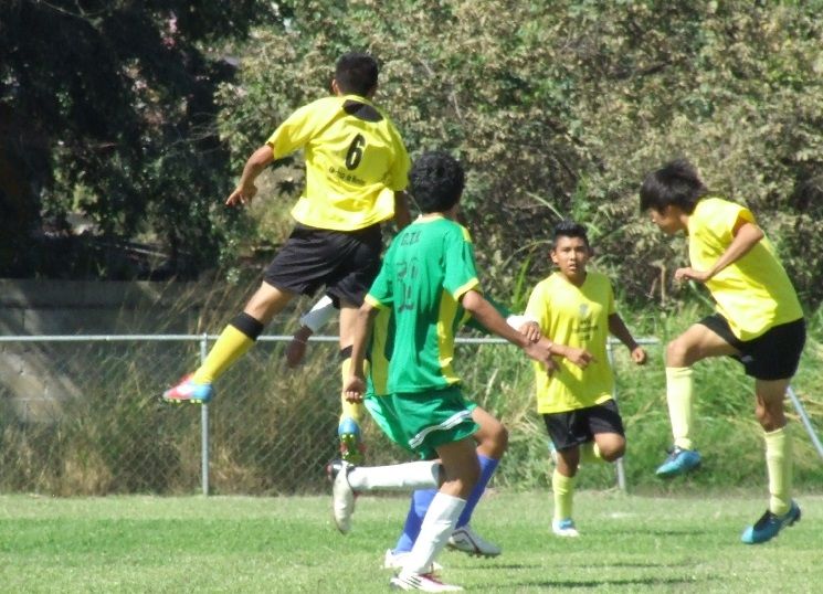 José Luis Garcitapia