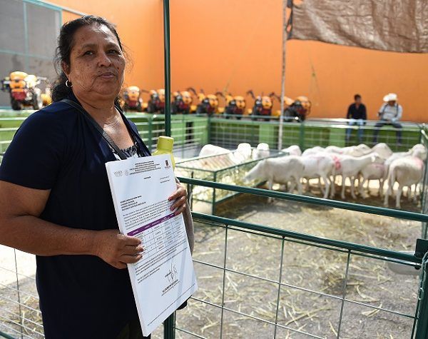 El gobernador Graco Ramírez afirmó que los programas sociales, como la Beca Salario, Crédito a la Palabra y Empresas de la Mujer Morelense, continuarán durante todo 2018