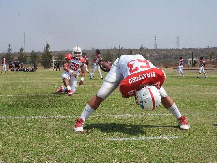 José Luis Garcitapia