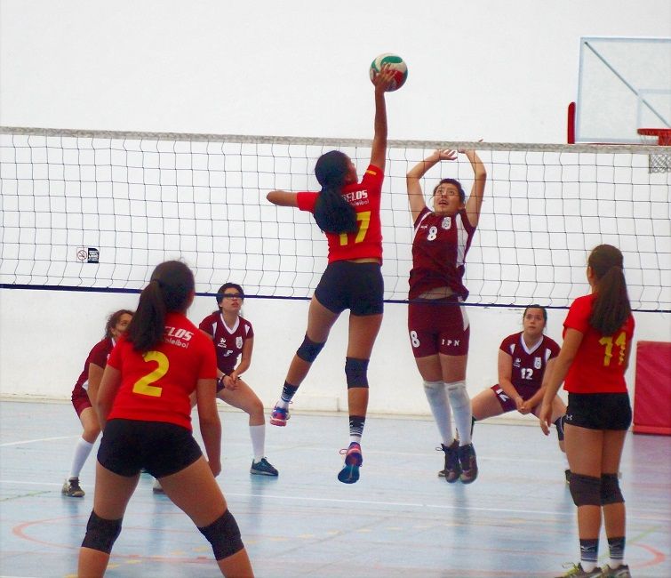 Compromisos que se jugarán en las instalaciones de la Unidad Deportiva Cuernavaca del IMSS en Plan de Ayala