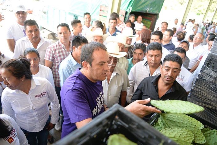 El candidato arribó al centro de acopio de nopal “Tlalnepantla”, ubicado en la carretera federal Oaxtepec-Xochimilco, donde expresó que es necesario un trabajo coordinado entre productores y el propio gobierno, pues sólo de esta manera se podrán obtener mejores resultados
