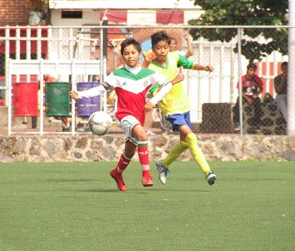 José Luis Garcitapia