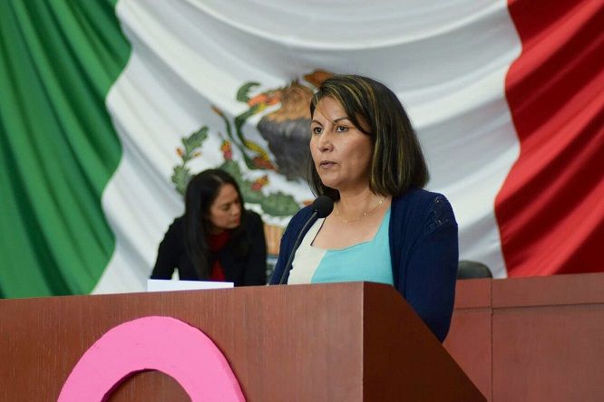 Los diputados avalaron una propuesta realizada por Dalila Morales Sandoval, coordinadora de la Fracción Parlamentaria del PAN, quien señaló que el pasado miércoles 26 de septiembre, el titular de la ESAF, José Vicente Loredo Méndez, declaró que presentaría una acción resarcitoria para que los presidentes de la Mesa Directiva de la anterior Legislatura, devuelvan los recursos que ejercieron en los tres años