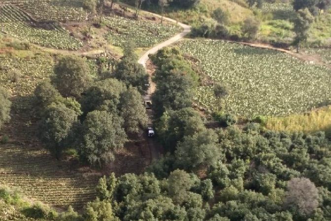 El comisionado Vicealmirante José Antonio Ortiz Guarneros informó que este procedimiento se desarrolló también en cumplimiento a la Ley Federal de Armas de Fuego y Explosivos, con la finalidad de proteger la fauna y concientizar a la sociedad frente a esta problemática