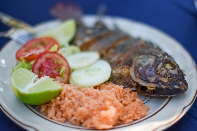 Oscar León Trujillo, director de Turismo Cultural, destacó que la feria es una actividad única en su tipo, que se ha posicionado año con año ayudando a proyectar la riqueza cultural e histórica de la comunidad indígena, así como los atractivos turísticos de la región, como la zona arqueológica de Xochicalco, las lagunas de Coatetelco y El Rodeo, entre otros