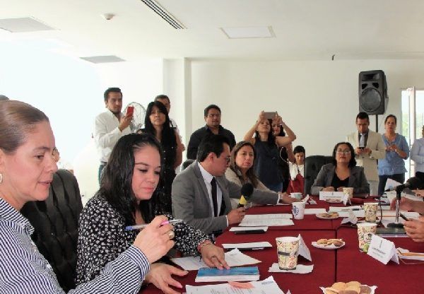 Guadalupe Isela Chávez Cardoso es licenciada en derecho y ciencias sociales, litigante y especialista en juicios orales, y ha fungido como asesora jurídica de diversas dependencias, capacitadora en programas en contra de la violencia hacia las mujeres, profesora adjunta de la materia de derechos humanos y reconocida por su capacitación en el tema de la mujer