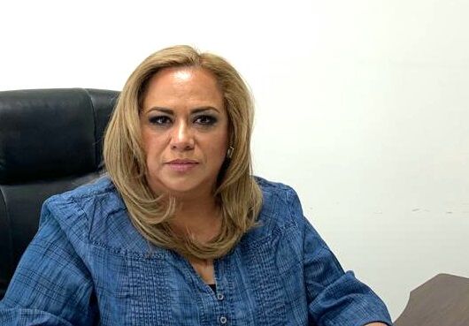 Tania Valentina recordó que el presidente Andrés Manuel López Obrador está empeñado en romper ese ciclo de violencia y se ha comprometido a pacificar el país, propósito con el que coincidimos y apoyamos con iniciativas como la presente